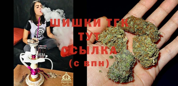 хмурый Бородино