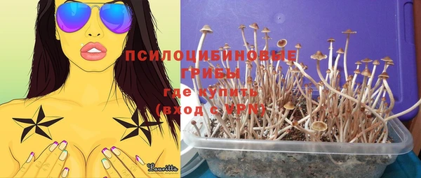 эйфоретик Бронницы
