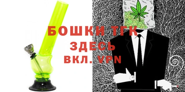 хмурый Бородино