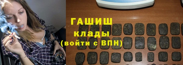 хмурый Бородино