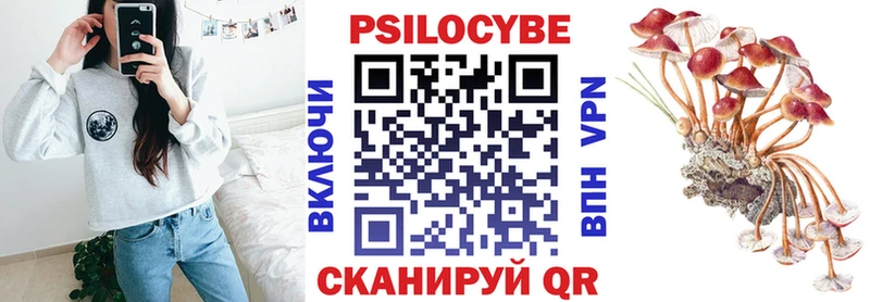 Галлюциногенные грибы мицелий  Новороссийск 